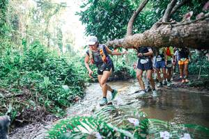 BIB: 
                            <button type="button" onclick="openModal(25466066)" class="btn btn-primary btn-sm float-right btn-popup" data-toggle="modal" data-target=".modal-high-quality">
                        <i class="fas fa-shopping-cart"></i> Add to Cart
                    </button>
                                            <button type="button" onclick="isThisMe(25466066, true)" class="btn btn-success btn-sm float-right btn-popup btn-isme hidden" data-toggle="tooltip" data-placement="bottom" title="นี่คือรูปของคุณใช่ไหม คลิกที่นี่เพื่อเอาเข้าอัลบั้ม">
                        <i class="fas fa-plus"></i> Add to album
                    </button>
                    <button type="button" onclick="isThisMe(25466066, false)" class="btn btn-warning btn-sm float-right btn-popup btn-isnotme hidden">
                        <i class="fas fa-ban"></i> Remove from album
                    </button>